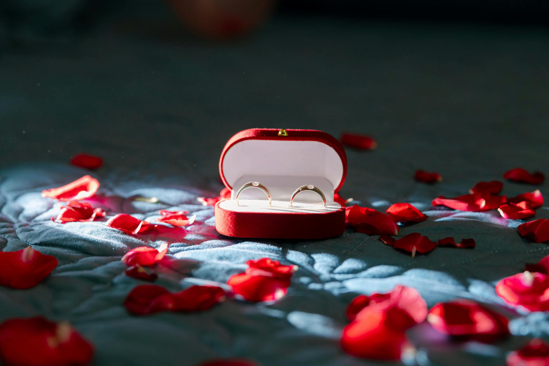 Dwa złote pierścionki zaręczynowe w czerwonym pudełku wśród płatków róż