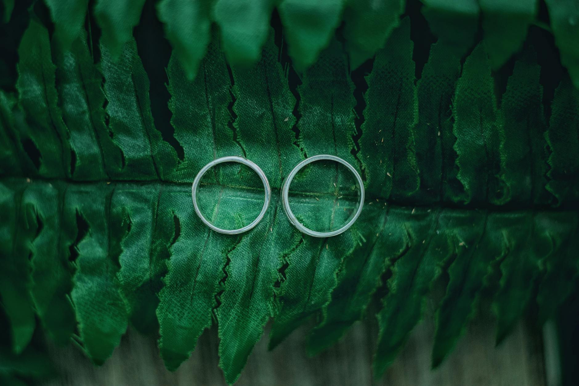 Srebrne pierścionki w kształcie liści leżące na zielonym liściu